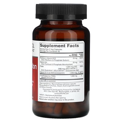 Life Balance Protocol, Methyl Action, 90 Gemüse