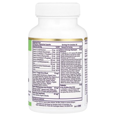 Heavenly Herbs, Earth Blend®, B-Complex, 60 Vegetarian Capsules