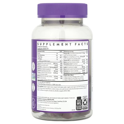 New Chapter, Kid's Multivitamin, Berry Citrus, 60 Gummies New Chapter, Kid's Multivitamin, Berry Citrus, 60 Gummies