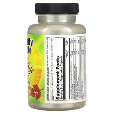 Nature's Life, One Daily Multiple, 60 vegetarische Kapseln