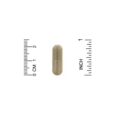 Organic India, Neem, 90 Vegetarian Caps