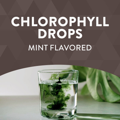 Nature's Way, Chlorofresh, Chlorofilll Drops, Mint, 2 Fl Oz (59 ml)