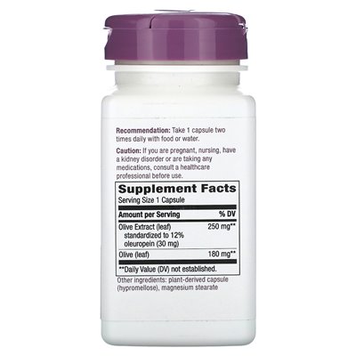 Nature's Way, Premium-Extrakt, Olivenblatt, 250 mg, 60 vegane Kapseln
