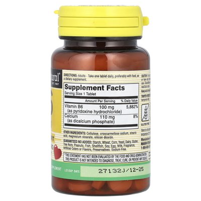 Mason Natural, Vitamin B6, 100 mg, 100 Tabletten
