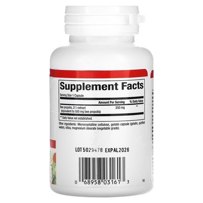 Czynniki naturalne, pszczoły, 500 mg, 90 kapsułek