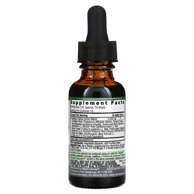 Nature's Answer, Leber-Kräutermischung, Flüssigextrakt, alkoholfrei, 2000 mg, 1 fl oz (30 ml)