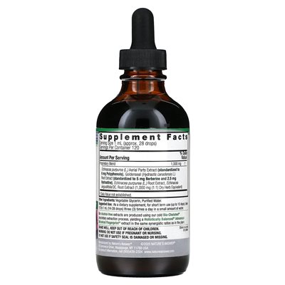 Odpowiedź natury, Echinacea i Goldenseal, bez alkoholu, 4 fl oz (120 ml)