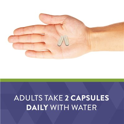 Nature's Way, Sambucus Advanced immun, 80 kapsułek
