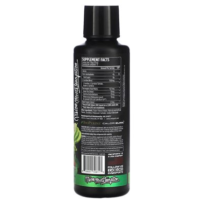 VMI Sports, L-Carnitine 1500 Heat, Grandma Apple, 16 fl oz (473 ml)