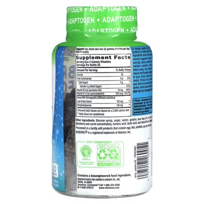 VitaFusion, Brain Food Gummies, Blueberry, 50 Gummies VitaFusion, Brain Food Gummies, Blueberry, 50 Gummies