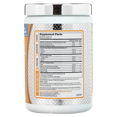 Steelfit, stalowe paliwo, formuła nawodnienia BCAA + w jednym w jednym, niebieska malina, 11,64 uncji (330 g) Steelfit, stalowe paliwo, formuła nawodnienia BCAA + w jednym w jednym, niebieska malina, 11,64 uncji (330 g)