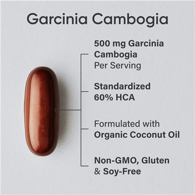 Sports Research, Garcinia Cambogia z olejem kokosowym, 500 mg, 90 softgels Sports Research, Garcinia Cambogia z olejem kokosowym, 500 mg, 90 softgels