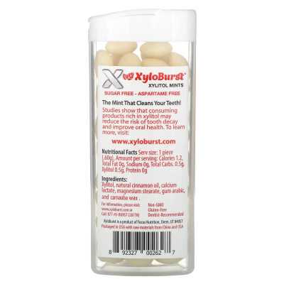 Xyloburst, mit Xylitol gesüßte Minze, Zimt, 60 Stück