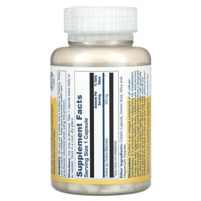 Solaray, Time Release, Choline, 300mg, 100 Capsules