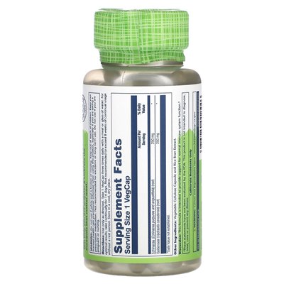 Solaray, True Herbs, Echinacea Gelbwurzel, 500 mg, 100 vegetarische Kapseln
