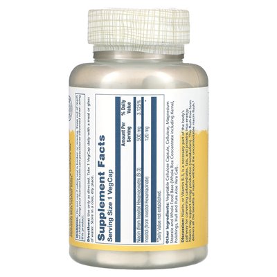Solaray, No-Flush Niacin, 500 mg, 100 pflanzliche Kapseln