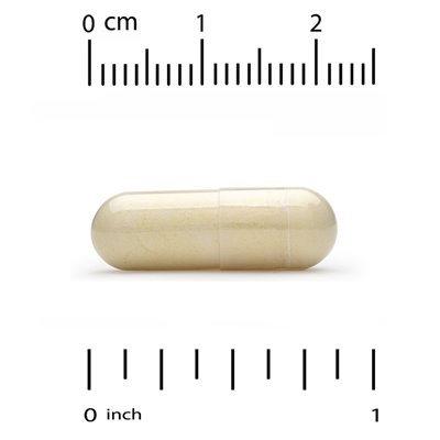 California Gold Nutrition, francuska morska kora sosna, oligopina, 100 mg, 60 kapsułek wegetariańskich California Gold Nutrition, francuska morska kora sosna, oligopina, 100 mg, 60 kapsułek wegetariańskich