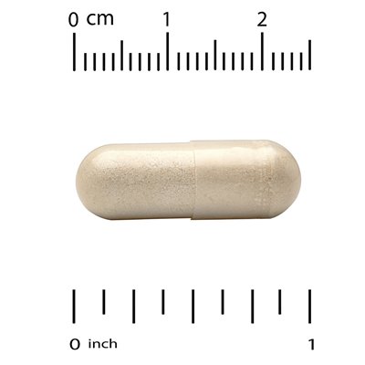California Gold Nutrition, EuroHerbs ™, ekstrakt z Ginkgo Biloba, jakość EUROMED, 120 mg, 60 kapsułek wegetariańskich California Gold Nutrition, EuroHerbs ™, ekstrakt z Ginkgo Biloba, jakość EUROMED, 120 mg, 60 kapsułek wegetariańskich
