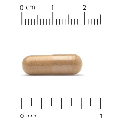 California Gold Nutrition, Rinde der französischen Strandkiefer, Oligopin, 100 mg, 180 vegetarische Kapseln