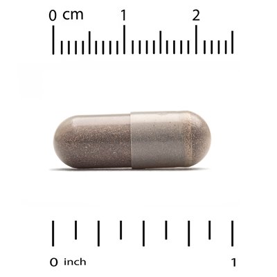California Gold Nutrition, ekstrakt z Bacopa, 320 mg, 30 kapsułek wegetariańskich California Gold Nutrition, ekstrakt z Bacopa, 320 mg, 30 kapsułek wegetariańskich