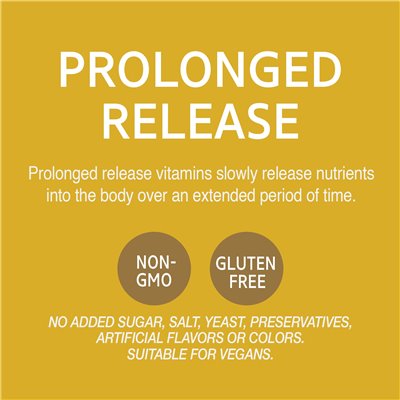 21st Century, B-12, Extended Release, 1000 mcg, 110 Tabletten