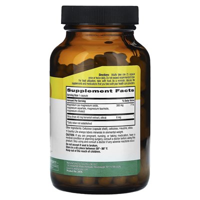 Country Life, Target Minis, Magnesium Caps with Silica, 300mg, 120 Vegan Capsules