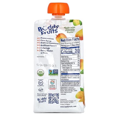 Fruits Buddy, Bio-Fruchtkreation, Mango, 13 oz (370 g)