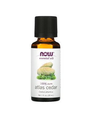 NOW Foods, ätherische Öle, Atlaszeder, 1 oz (30 ml) NOW Foods, ätherische Öle, Atlaszeder, 1 oz (30 ml)