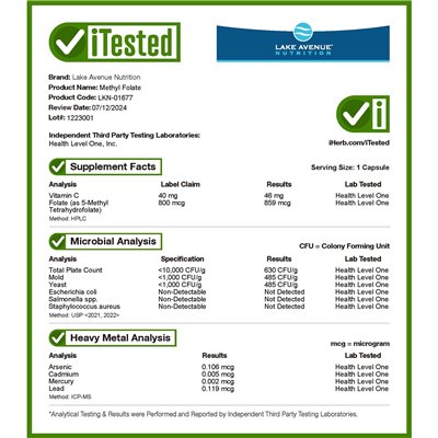 Lake Avenue Nutrition, Methylfolat, 800 mcg, 120 vegetarische Kapseln