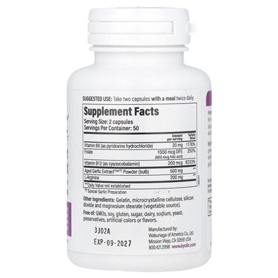 Kyolic, Gealterter Knoblauchextrakt™, Formel 108, 100 Kapseln