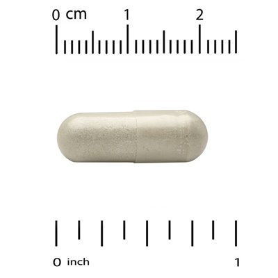 Super Nutrition, Brain Complex z L-Carnitine i Ginkgo Biloba, 120 kapsułek wegetariańskich