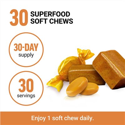 Force Factor, Modern Mushrooms Cordyceps, Butterscotch, 30 Superfood Soft Chews Force Factor, Modern Mushrooms Cordyceps, Butterscotch, 30 Superfood Soft Chews