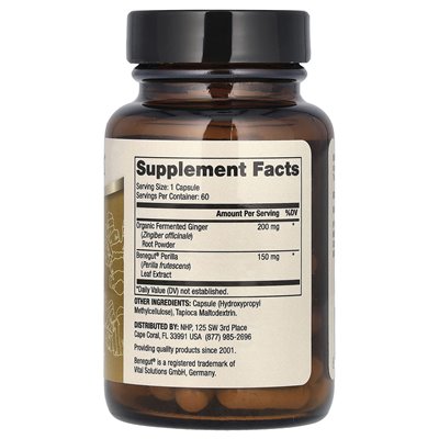 Dr. Mercoli, Fermented Ginger from Benegut, 60 Capsules