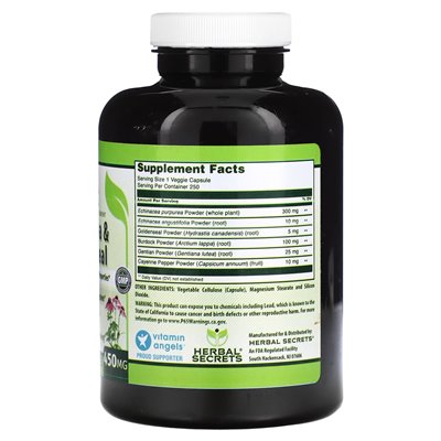 Sekrety ziołowe, Echinacea i Goldenseal, 450 mg, 250 kapsułek wegetariańskich