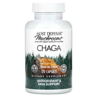 Obrona gospodarza, grzyby, Chaga, 120 kapsułek