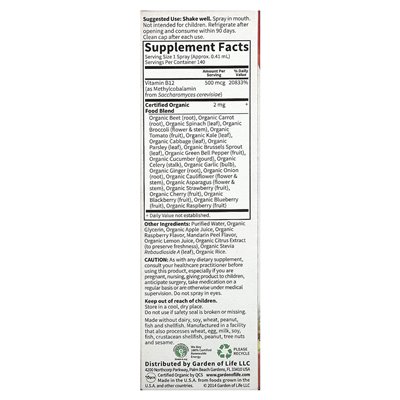 Garden of Life, Mykind Organics, B-12 Organic Spray, malina, 2 flory (58 ml)