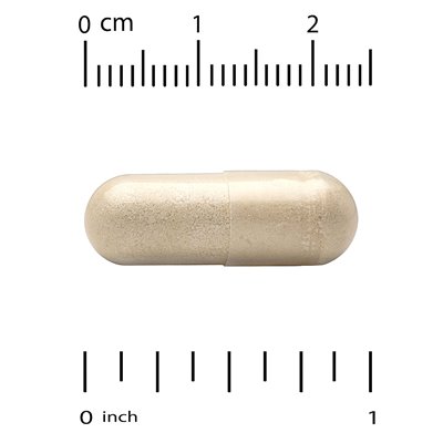 Lake Avenue Nutrition, Bienenpropolis, 1000 mg, 240 Gemüsekapseln