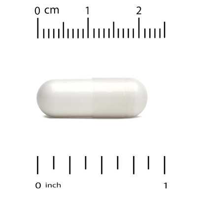 Lake Avenue Nutrition, słonecznikowy fosfatydyloseryna, 100 mg, 120 kapsułek wegetariańskich