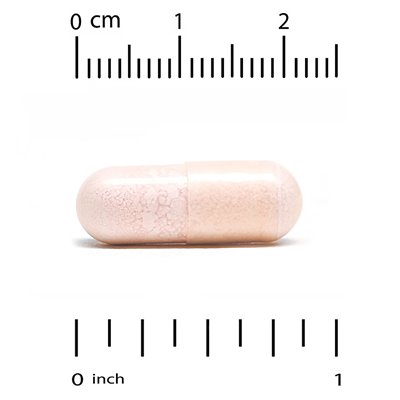 Lake Avenue Nutrition, Probiotika, Mischung aus 10 Stämmen, 25 Milliarden KBE, 60 vegetarische Kapseln