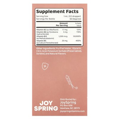 Joyspring, Burst B12, 2 Fl Oz (60 ml)