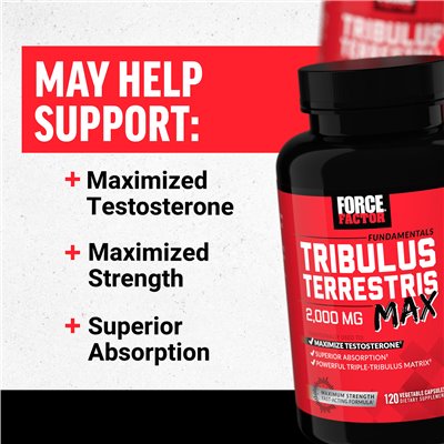 Force Factor, Fundamentals, Tribulus Terrestris Max, 2000 mg, 120 kapsułek roślinnych (500 mg na kapsułkę) Force Factor, Fundamentals, Tribulus Terrestris Max, 2000 mg, 120 kapsułek roślinnych (500 mg na kapsułkę)